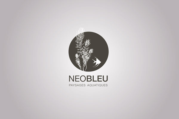 Css Template Preview